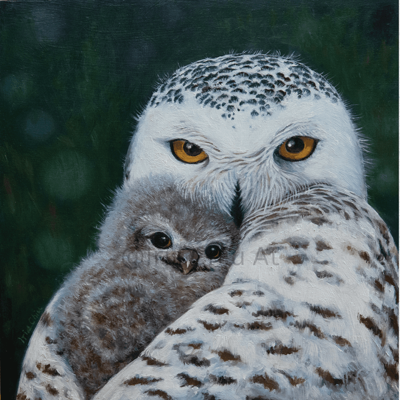 Original Paintings