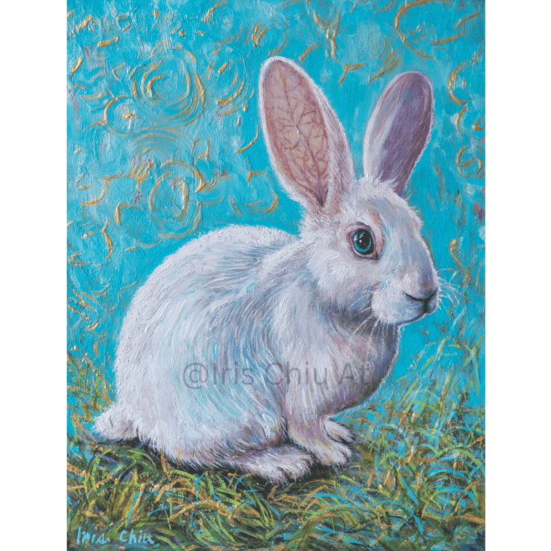 Rabbit in the Sunshine